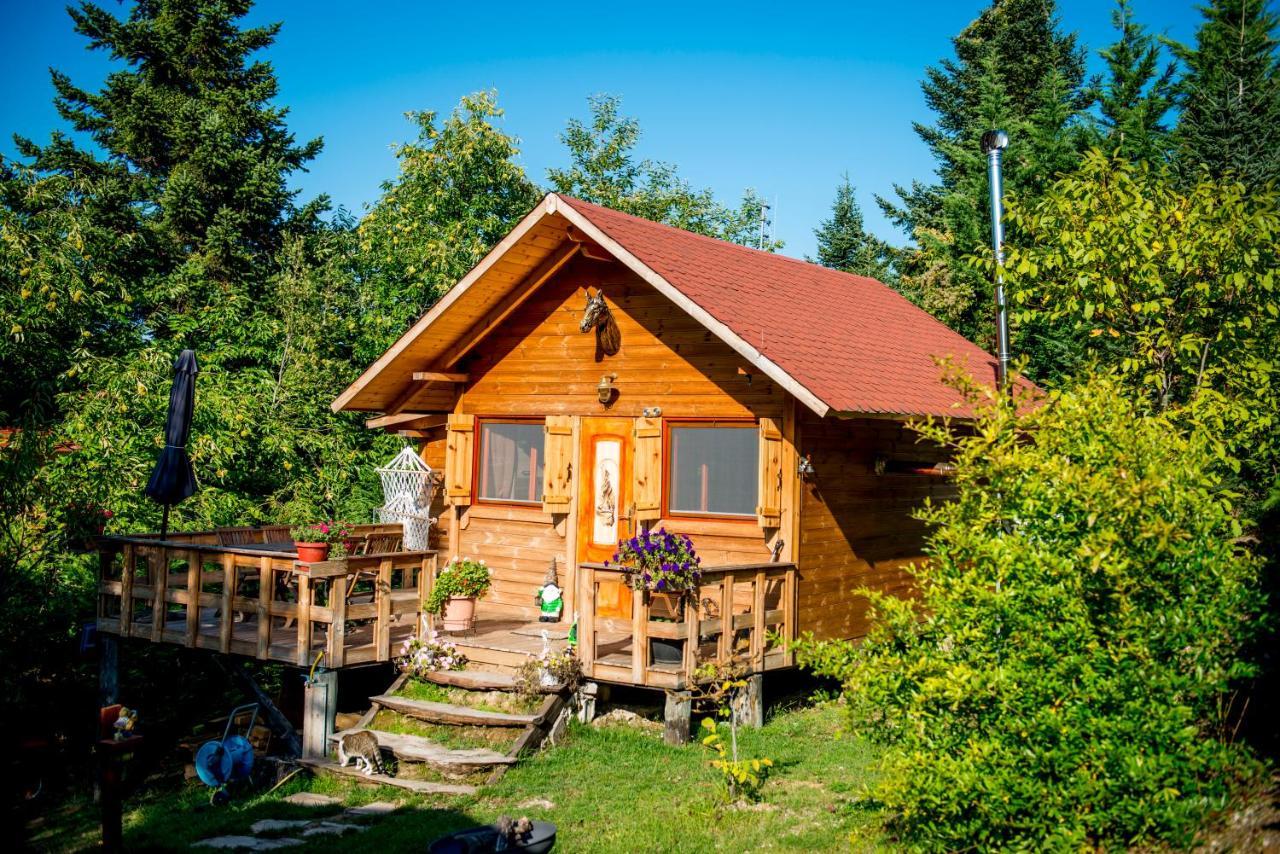 Kedra Village Экстерьер фото