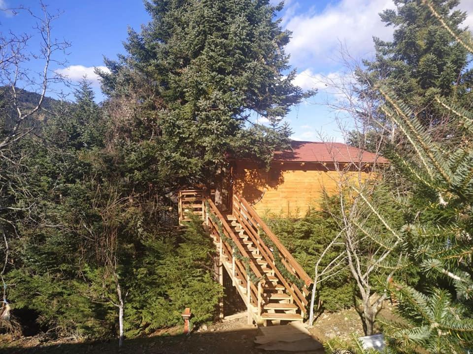 Kedra Village Экстерьер фото